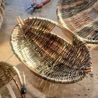 Willow Basketry