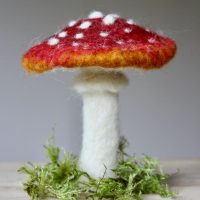 Felted Fungi with The Pale Rook