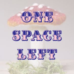 Festive Felted Fungi with The Pale Rook