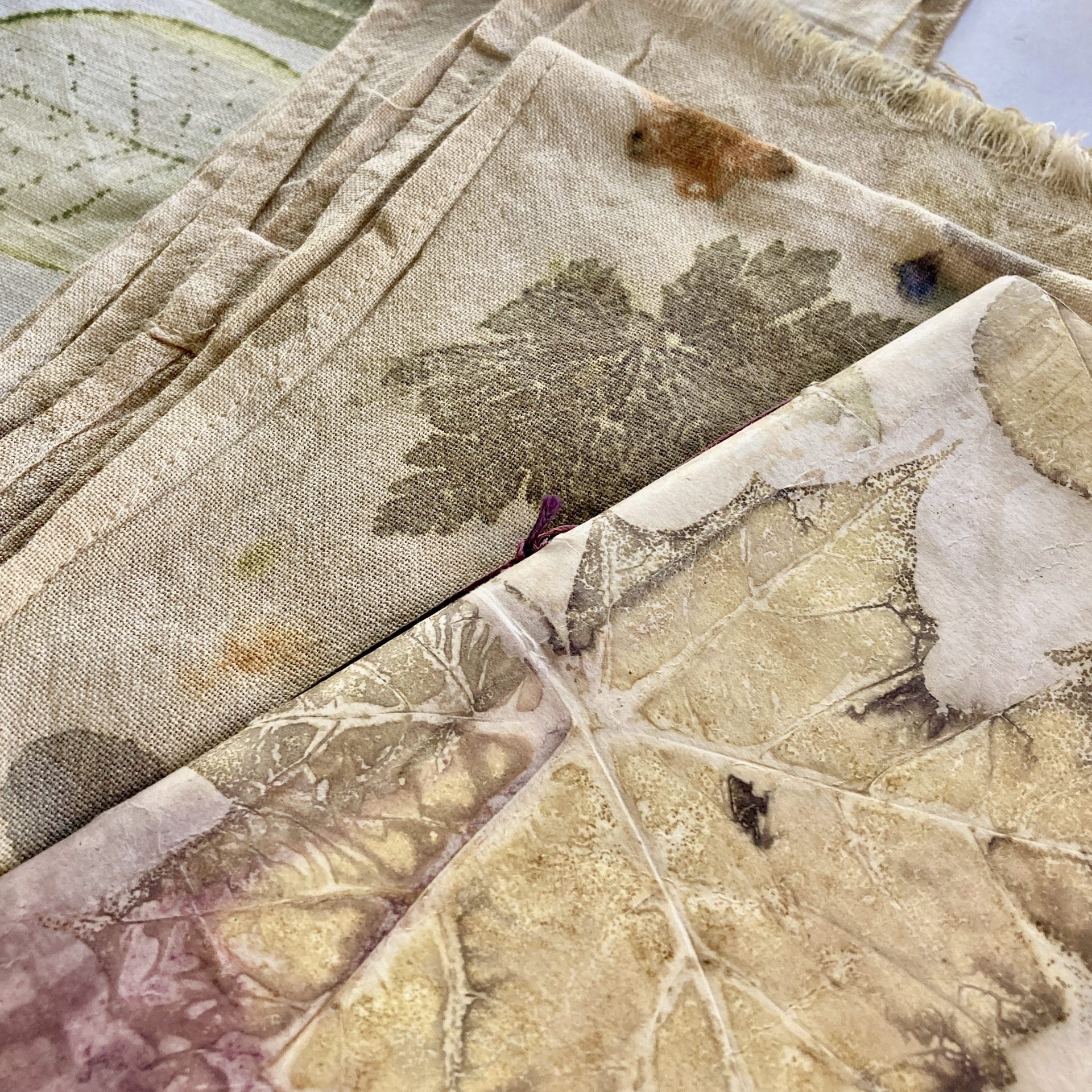 Botanical Printmaking - Image 15