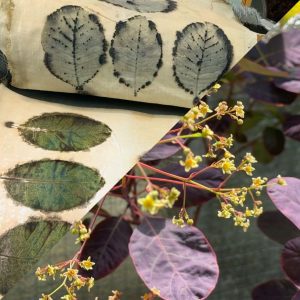 Botanical Printmaking