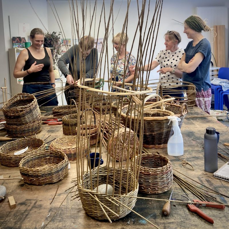 Willow Basketry Summer School