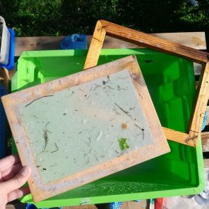 Handmade Paper Making