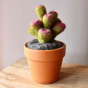Needle Felted Succulents with The Pale Rook