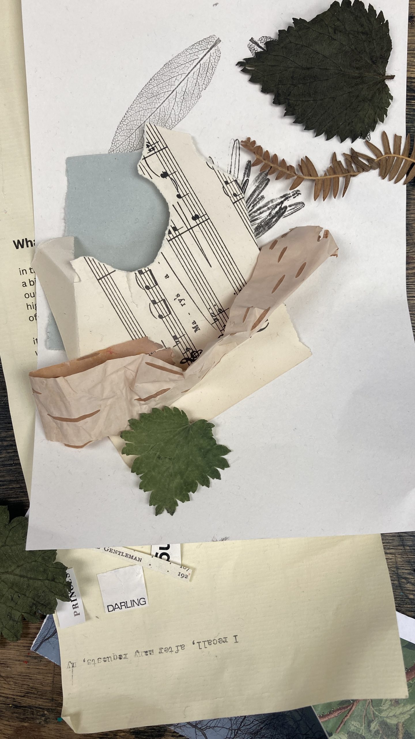 Handmade Paper Making - Image 17