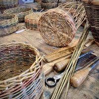 Willow Basketry Spring Intensive